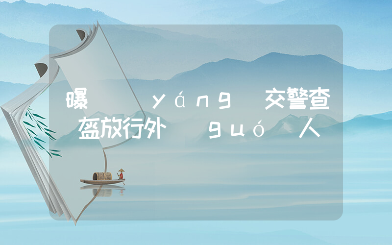 曝貴陽(yáng)交警查頭盔放行外國(guó)人插圖