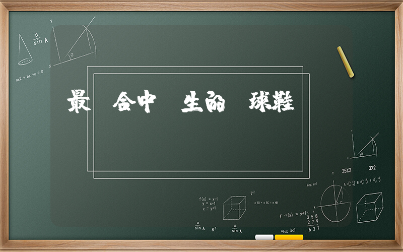 最適合中學生的籃球鞋插圖