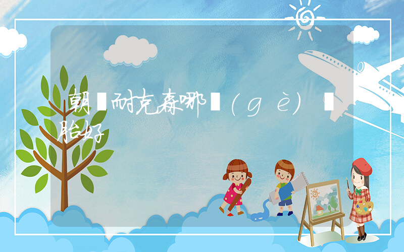 朝陽耐克森哪個(gè)輪胎好插圖