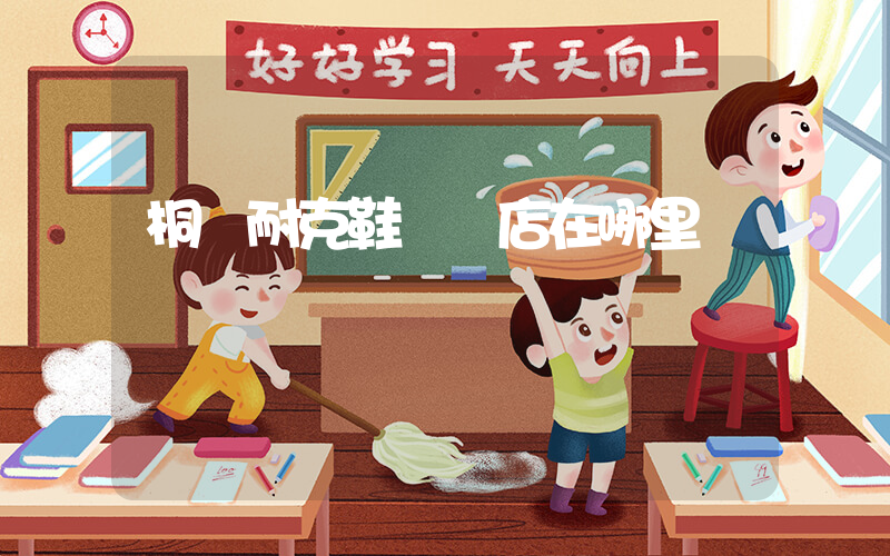 桐鄉耐克鞋專賣店在哪里插圖