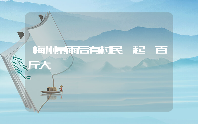 梅州暴雨后有村民撈起數百斤大魚插圖