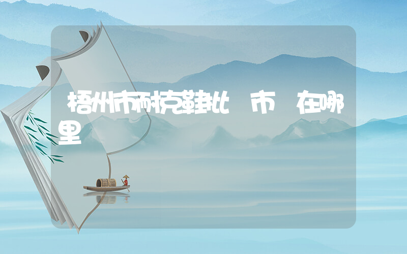 梧州市耐克鞋批發市場在哪里插圖