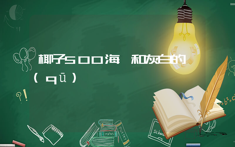 椰子500海鹽和灰白的區(qū)別插圖