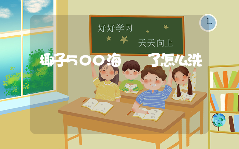 椰子500海鹽臟了怎么洗插圖