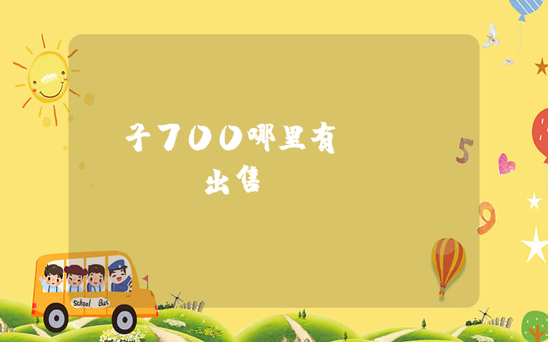 椰子700哪里有現(xiàn)貨出售插圖