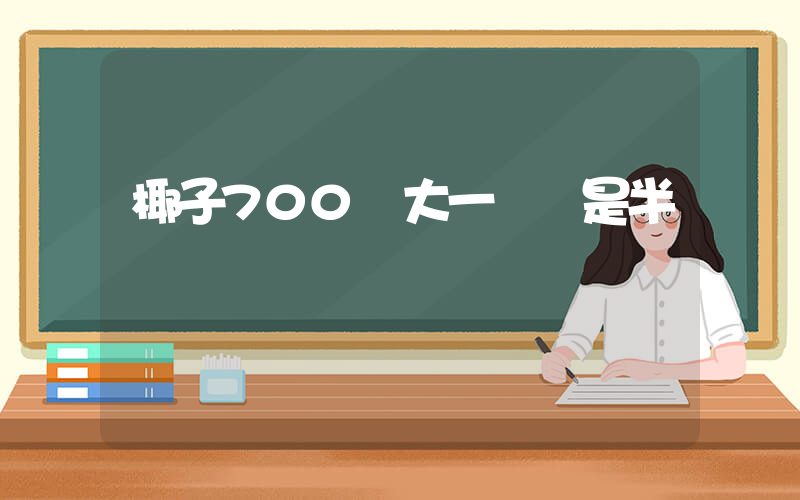 椰子700買大一碼還是半碼插圖