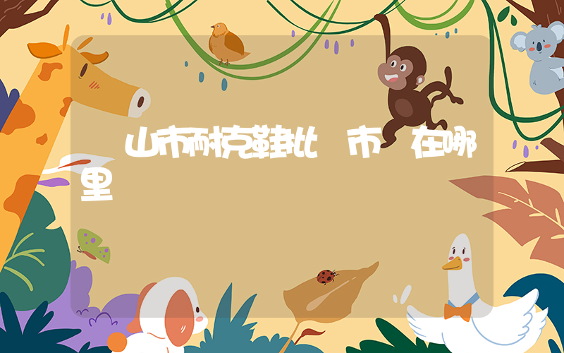 樂山市耐克鞋批發市場在哪里插圖