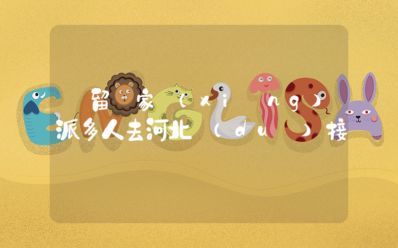 欒留偉家鄉(xiāng)派多人去河北對(duì)接插圖
