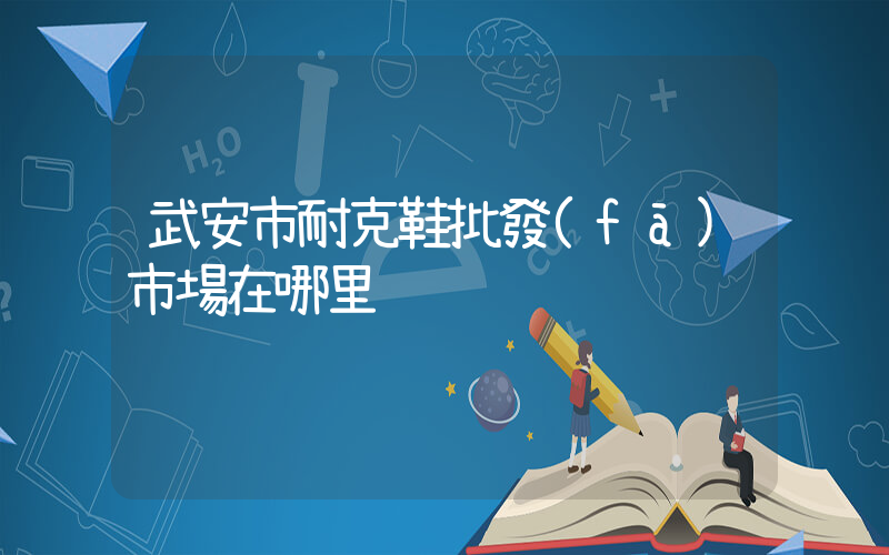 武安市耐克鞋批發(fā)市場在哪里插圖