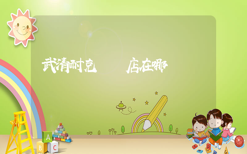 武清耐克專賣店在哪插圖