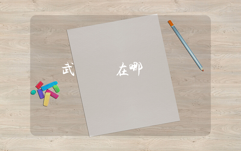 武漢樸樸在哪插圖