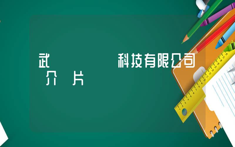 武漢樸樸網絡科技有限公司簡介圖片插圖