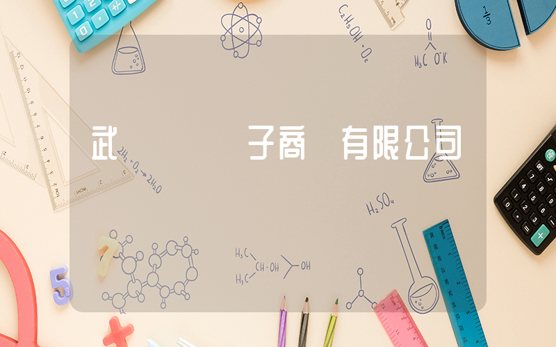 武漢樸樸電子商務有限公司插圖