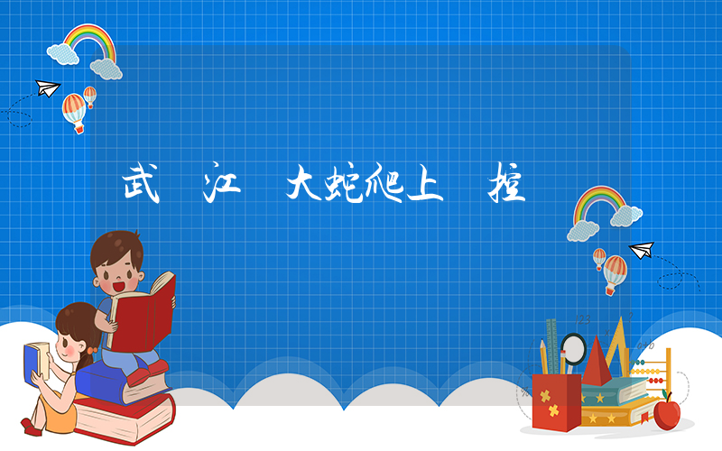 武漢江灘大蛇爬上監控桿插圖