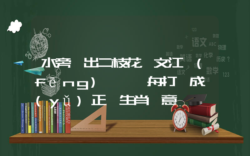 水旁開出二枝花，文江風(fēng)軟賽龍舟打一成語(yǔ)正確生肖釋意插圖