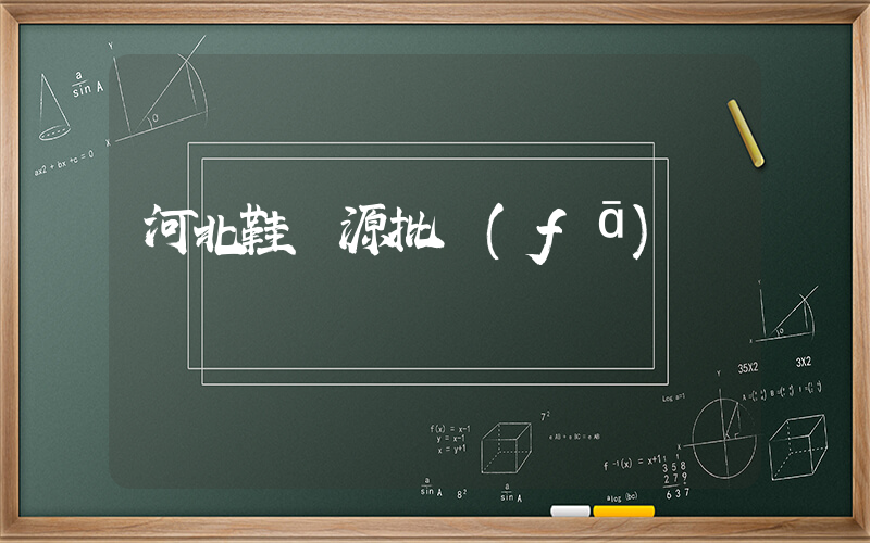 河北鞋貨源批發(fā)插圖