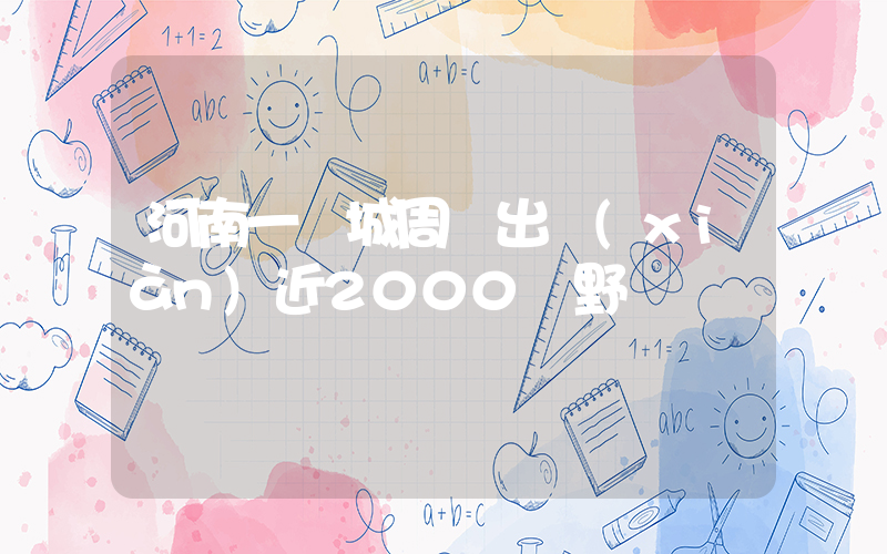 河南一縣城周邊出現(xiàn)近2000頭野豬插圖