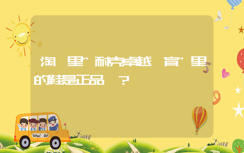 淘寶里“耐克卓越體育”里的鞋是正品嗎？插圖