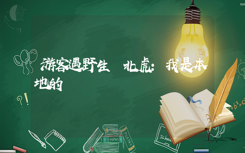 游客遇野生東北虎：我是本地的插圖