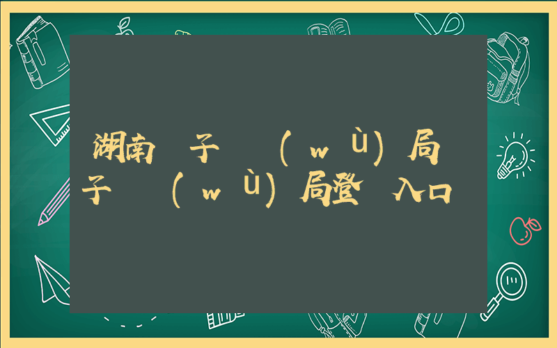 湖南電子稅務(wù)局電子稅務(wù)局登錄入口插圖