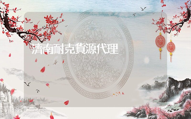 濟南耐克貨源代理插圖