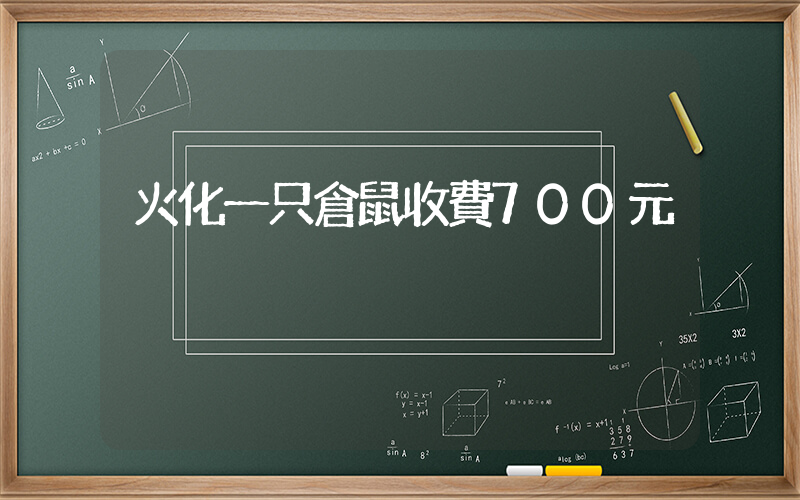 火化一只倉鼠收費700元插圖 火化一只倉鼠收費700元插圖