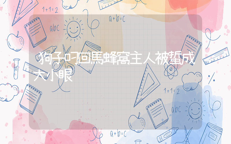 狗子叼回馬蜂窩主人被蜇成大小眼插圖