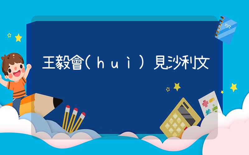 王毅會(huì)見沙利文插圖