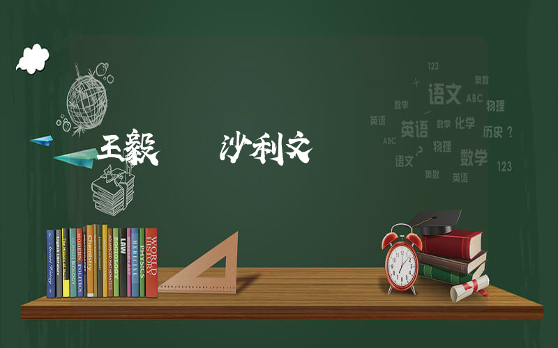 王毅會見沙利文插圖