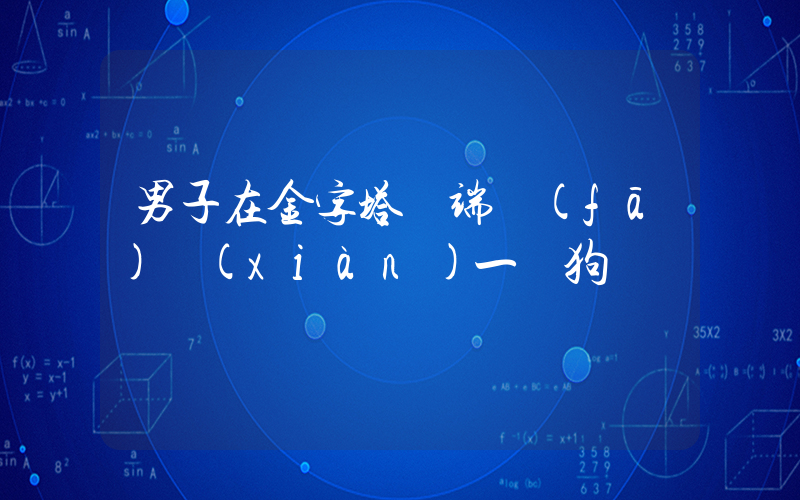 男子在金字塔頂端發(fā)現(xiàn)一條狗插圖