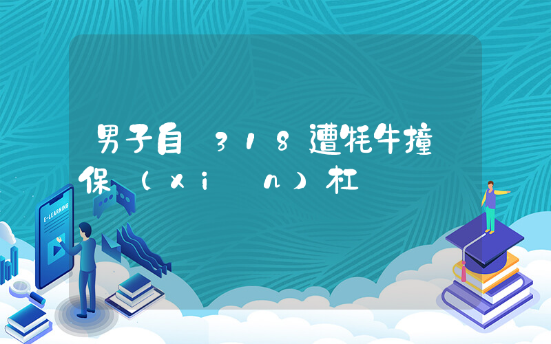 男子自駕318遭牦牛撞飛保險(xiǎn)杠插圖