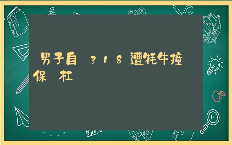 男子自駕318遭牦牛撞飛保險杠插圖