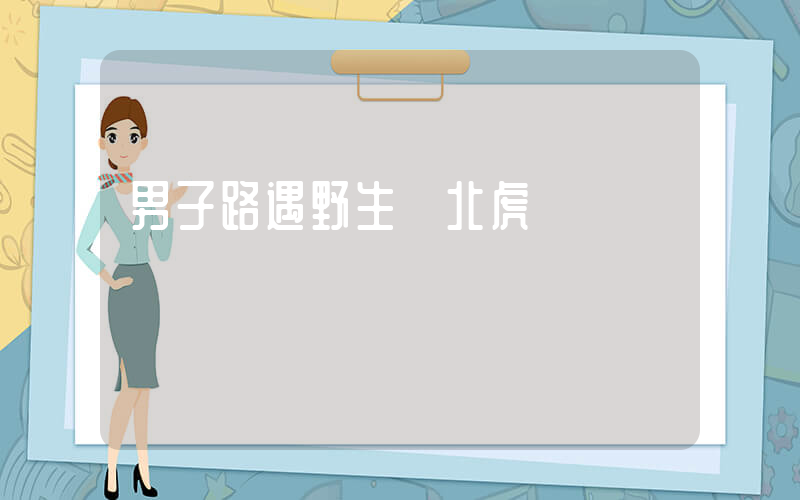 男子路遇野生東北虎插圖