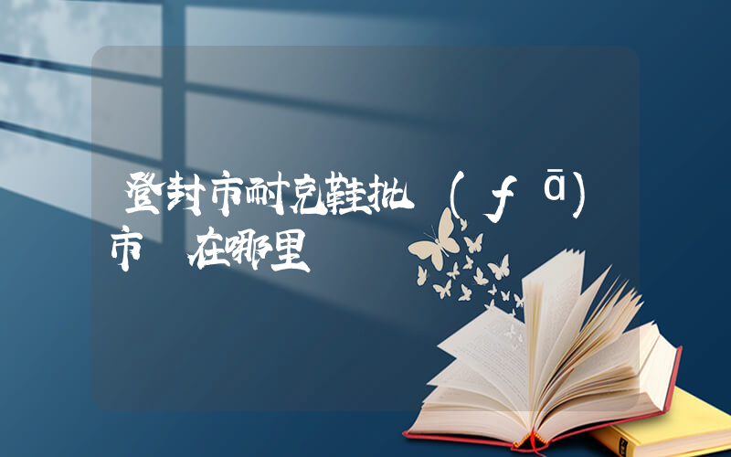 登封市耐克鞋批發(fā)市場在哪里插圖