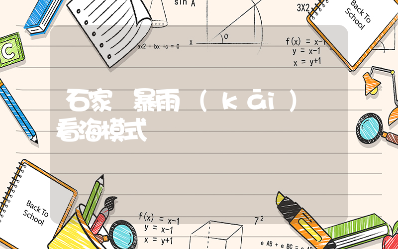 石家莊暴雨開(kāi)啟看海模式插圖