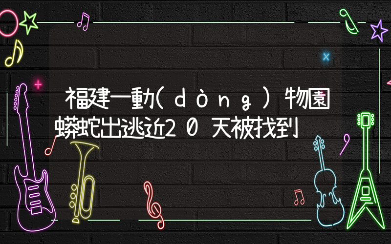 福建一動(dòng)物園蟒蛇出逃近20天被找到插圖