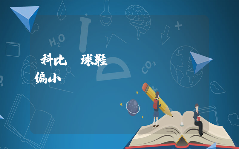 科比籃球鞋碼數(shù)偏小嗎插圖