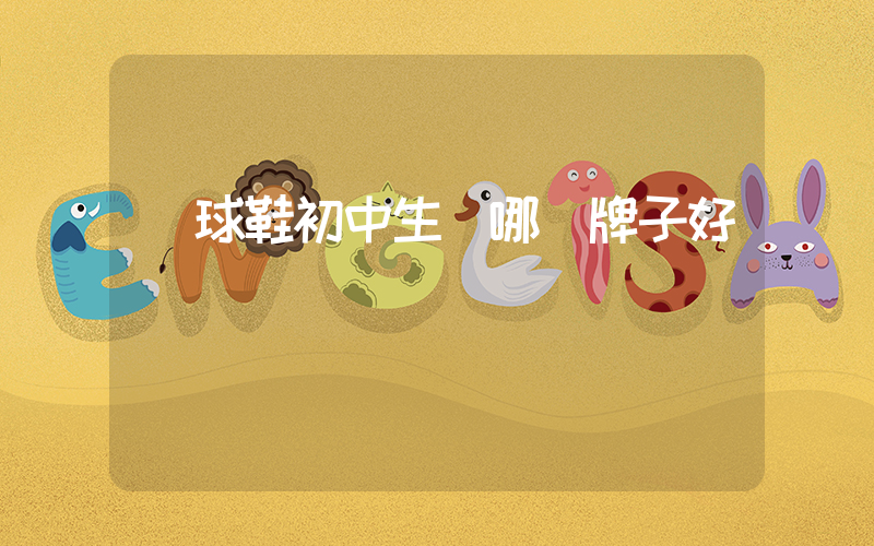 籃球鞋初中生買哪個牌子好插圖