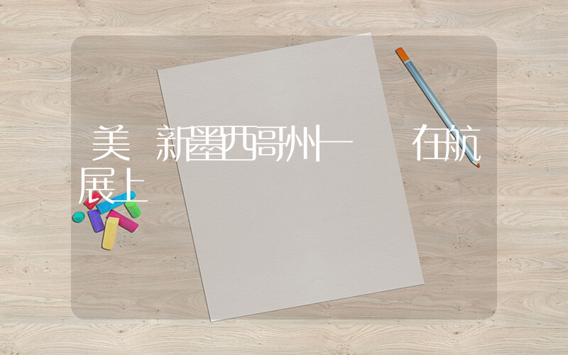 美國新墨西哥州一飛機在航展上墜毀插圖