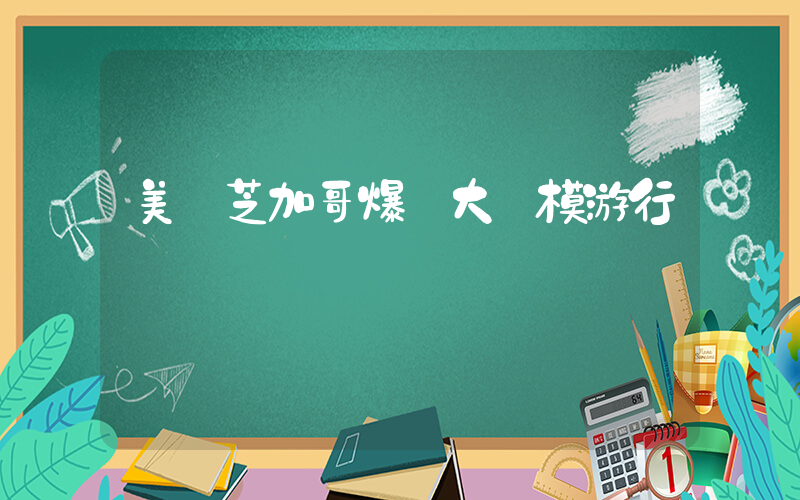 美國芝加哥爆發大規模游行插圖