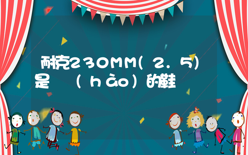 耐克230MM(2.5)是幾號(hào)的鞋插圖