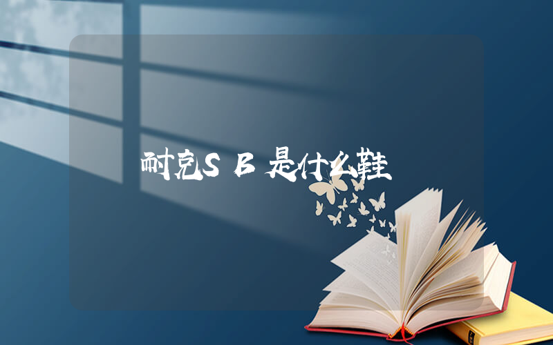 耐克SB是什么鞋插圖