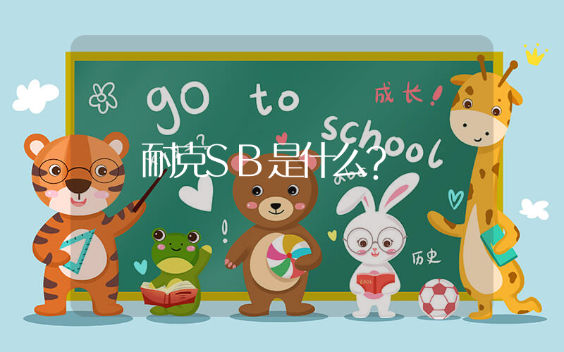 耐克SB是什么？插圖