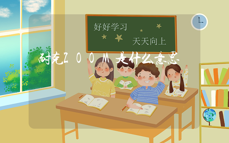 耐克ZOOM是什么意思插圖