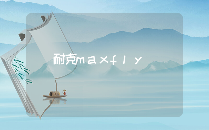 耐克maxfly插圖