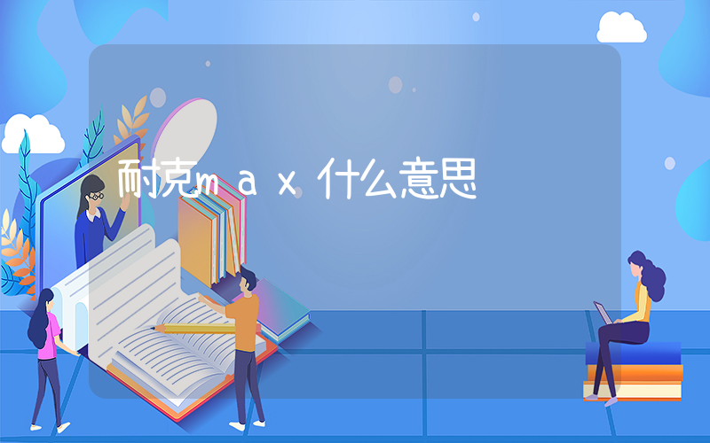 耐克max什么意思插圖