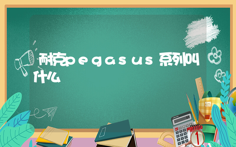 耐克pegasus系列叫什么插圖