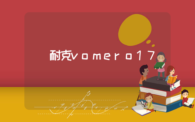 耐克vomero17測評插圖