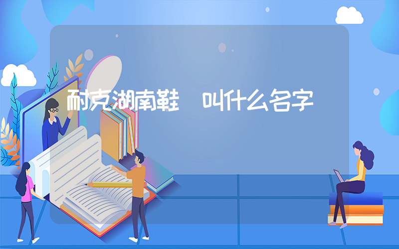 耐克湖南鞋廠叫什么名字插圖