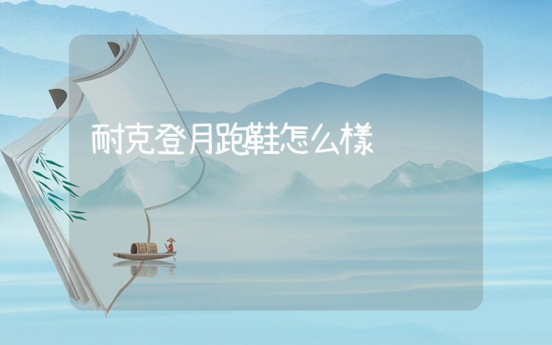 耐克登月跑鞋怎么樣插圖